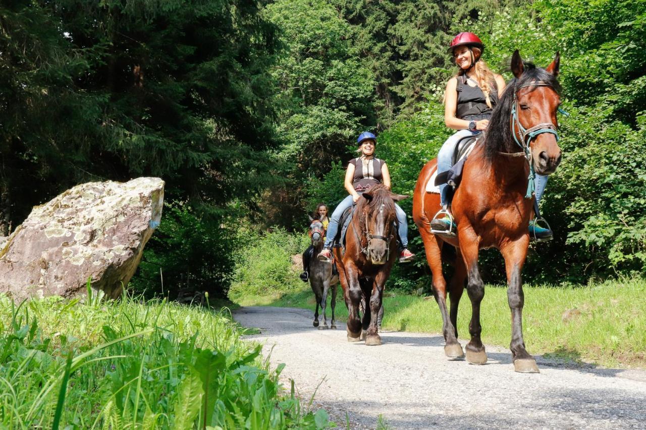 Casa Salvaterra Affittacamere Pinzolo Exteriör bild