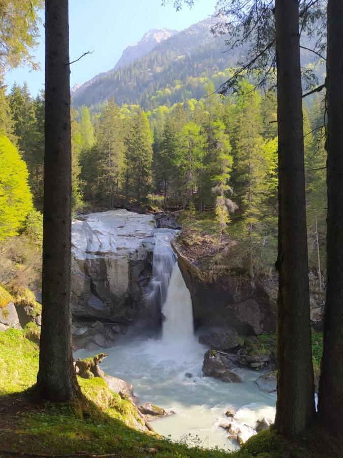 Casa Salvaterra Affittacamere Pinzolo Exteriör bild