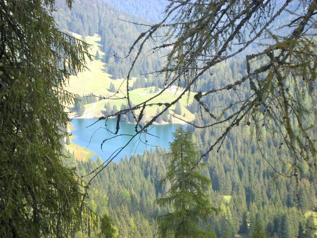 Casa Salvaterra Affittacamere Pinzolo Exteriör bild