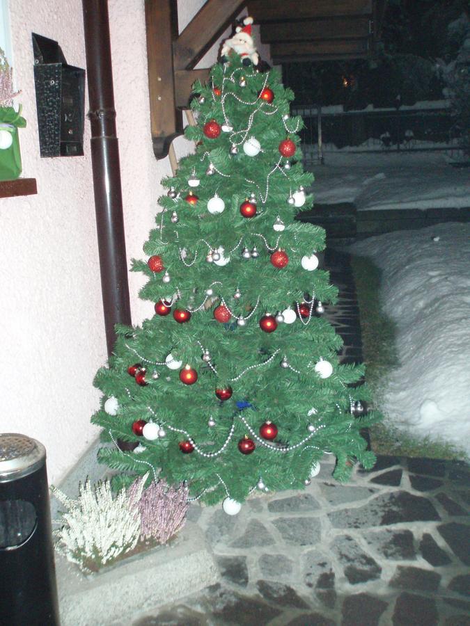 Casa Salvaterra Affittacamere Pinzolo Exteriör bild